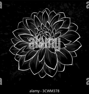 fiore dahlia bianco e nero isolato Illustrazione Vettoriale