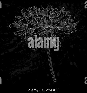 fiore dahlia bianco e nero isolato Illustrazione Vettoriale