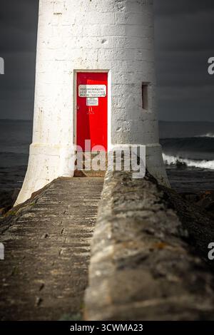 Faro bianco con una vibrante porta rossa situato su Griffith Island lungo la costa di Port Fairy, Victoria, Australia. La torre è cilindrica con Foto Stock
