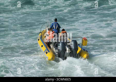 Persone in vacanza che fanno una crociera in barca per vedere la vita marina in mare, safari nell'oceano, ecotour Ballito, KwaZulu-Natal, Sud Africa, viaggi avventurosi Foto Stock