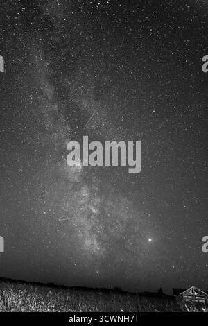 Via Lattea monocromatica con percorsi meteorici sopra il campo di campagna Foto Stock