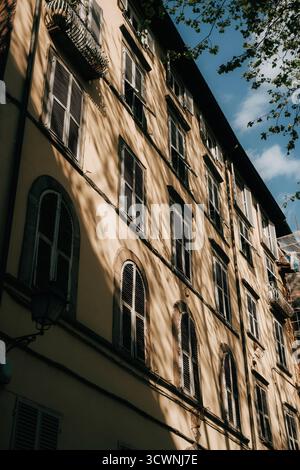 La facciata dell'edificio storico con persiane getta intricate ombre dagli alberi vicini in una giornata di sole. La calda luce del sole esalta i dettagli architettonici Foto Stock