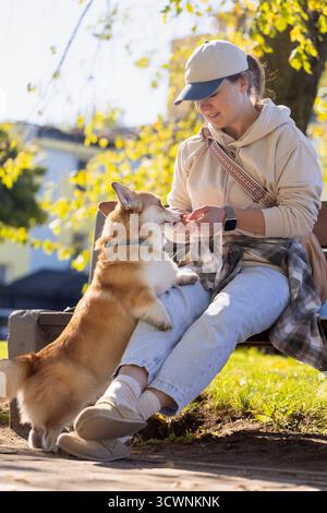 Donna con Pembroke corgi su una panchina Foto Stock