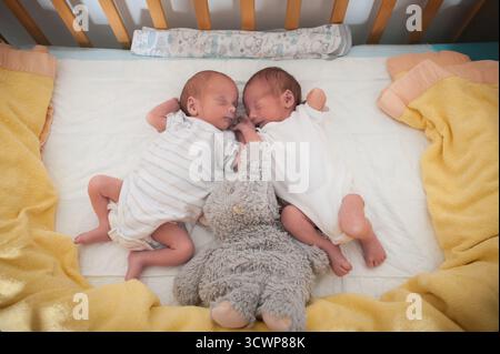 Due gemelli appena nati dormono fianco a fianco in una culla. Un giocattolo imbottito si trova tra di loro. Entrambi i bambini sembrano tranquilli mentre riposano. Coperta gialla i Foto Stock