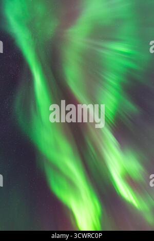Una splendida corona aurora, verde brillante, rosa, rosso e viola con centinaia di stelle sulla spiaggia di Telegrafbukta a Tromsø, Norvegia Foto Stock