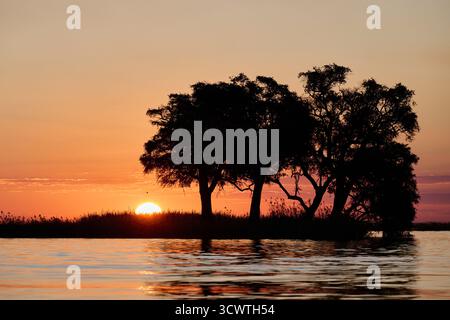 Tramonto con alberi sul fiume Chobe, sul Parco Nazionale del Chobe, in Botswana Africa Foto Stock