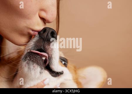 Primo piano estremo di una donna che baciava un corgi, esprimendo affetto, fiducia e compagnia in uno studio neutrale. Foto Stock