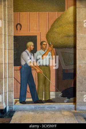 Grant Wood Murals nella Parks Library nel campus della Iowa State University di Ames Iowa Foto Stock