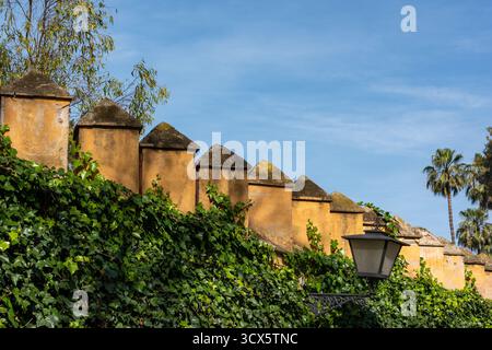 Merli nella sezione delle mura della città intorno al Palazzo Alcázar a Siviglia, Spagna. Foto Stock