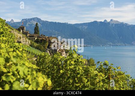 Pittoresco villaggio tra i vigneti del lago, Saint-Saphorin, Lavaux, patrimonio dell'umanità dell'UNESCO, Lago di Ginevra, Lac Leman, Cantone di Vaud, Switzer Foto Stock