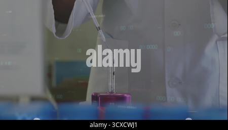 Il tecnico pipetta il liquido nella provetta in un rack viola sul banco da laboratorio, con fiale per campioni Foto Stock