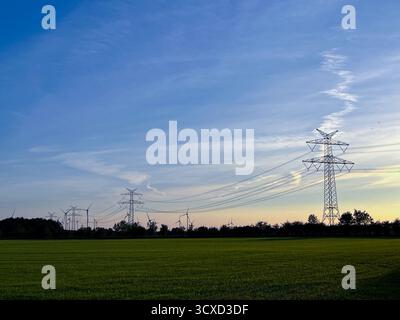 Vista del polo della linea ad alta tensione su campi verdi e alberi Foto Stock