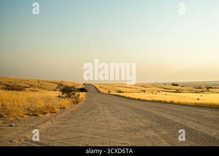 Una vista grandangolare di una rotatoria vicino a Usakos, Namibia, circondata da un terreno desertico asciutto e adagiata su un cielo azzurro. La foto cattura la quie Foto Stock