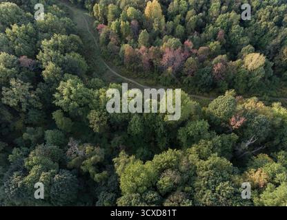 Vista aerea di un serpeggiante sentiero sterrato che attraversa una fitta foresta di vibranti alberi verdi e russet, Rhinebeck, New York, Stati Uniti. Foto Stock