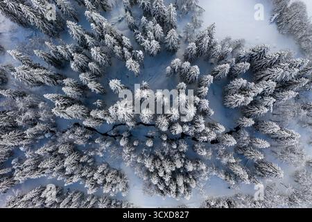 La vista aerea di pini e abeti innevati creano una fossa bianca sul paesaggio, tagliata in due da un torrente buio e tortuoso, Rhinebeck, New York, Stati Uniti. Foto Stock