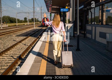 Vista posteriore della frustrata donna d'affari che salta su un treno in partenza e corre lungo la stazione ferroviaria con le valigie. Foto Stock