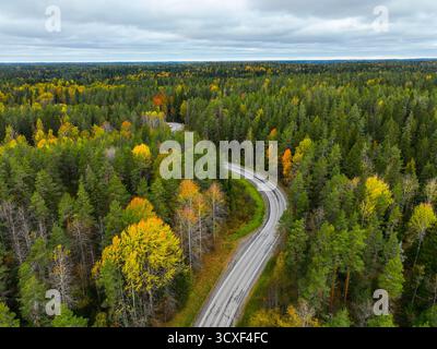 Ripresa aerea sopraelevata di una strada asfaltata curvilinea che attraversa una fitta e lussureggiante foresta con alberi che mostrano un verde brillante e un giallo dorato in autunno Foto Stock