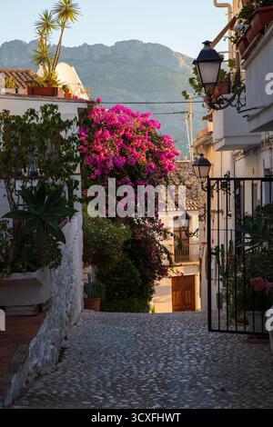 Altea, Spagna - 12 settembre 2025; città vecchia sulla costa mediterranea della Costa Blanca. Foto Stock