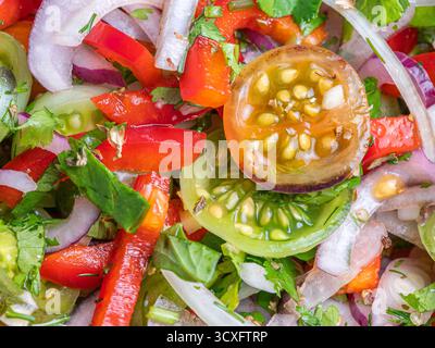 Primo piano dell'insalata di verdure con pomodori ciliegini, cipolle, peperoni ed erbe aromatiche. Foto Stock
