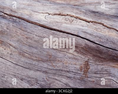 Sfondo struttura tavolo in legno astratto. Primo piano in legno rustico scuro realizzato con la vecchia struttura del tavolo in legno. Foto Stock
