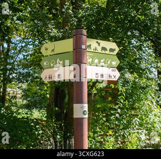 Il cartello in legno dello Zoo di Berlino presenta numerose frecce direzionali verdi e beige con sagome di animali e icone per uscite e strutture Foto Stock