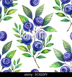 Acquerello al mirtillo senza cuciture. Illustrazione disegnata a mano. Foto Stock