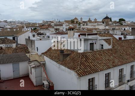 Un pittoresco scorcio dei tetti bianchi e rossi di Cordova, con lo skyline della città sullo sfondo. L'immagine cattura il tradizionale arco andaluso Foto Stock