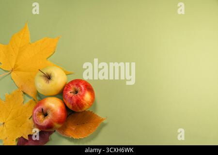 Piatto stagionale con mele rosse e gialle circondate da foglie d'acero autunnali luminose su uno sfondo verde. Questa accogliente composizione autunnale è perfetta Foto Stock