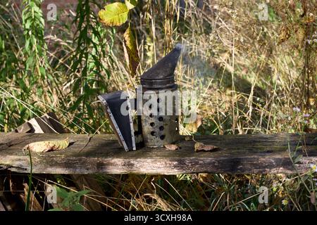 Il fumatore apicoltore si siede su una superficie in legno in mezzo al fogliame, con il fumo che sale dolcemente, creando una scena serena e naturale. Foto Stock
