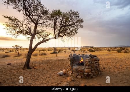 Tramonto dorato sul North Windhok, savana namibiana con alberi sparsi e forte struttura all'orizzonte. Calda luce serale e colori vivaci c Foto Stock
