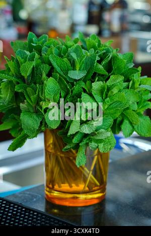 Vivace mazzo di foglie di menta biologica fresca in vaso di vetro ambrato collocato sul bancone del bar nel lussuoso Beach club. Foto Stock