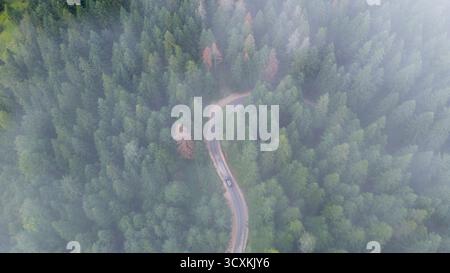 Vista aerea della strada forestale con auto che attraversa la nebbia di montagna Foto Stock