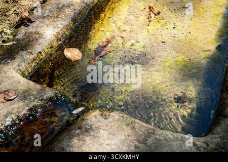 Acqua limpida e fresca di sorgente che scorre in un vecchio pozzo rustico in pietra in un ambiente soleggiato e tranquillo nella foresta. Foto Stock