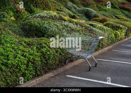 Carrello per lo shopping in un parcheggio con adiacente topiary a Heeley Retail Park, Sheffield Foto Stock