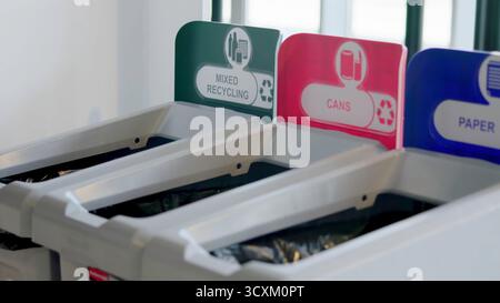 Persona che ricicla il flacone di plastica nel contenitore corretto. Supporto Foto Stock