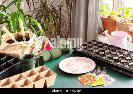 Preparazione per lavori primaverili in giardino, piantare semi di pomodoro su piantine a casa, tavolo in legno con pentole ecocompatibili della torba e contenitori in plastica per piantine, semi di pomodoro Foto Stock