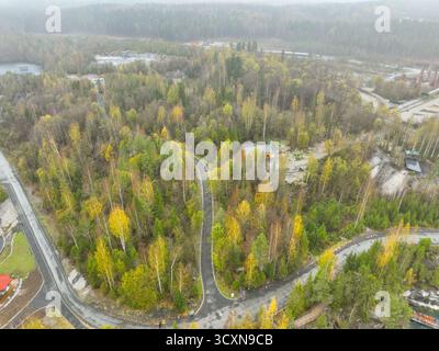 Vista aerea di una strada asfaltata nera che si snoda attraverso la foresta autunnale mista sempreverde e gialla nel parco naturale Foto Stock