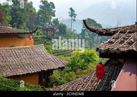 Lanterna rossa e piantagione di tè a Ban Rak Thai, Thailandia Foto Stock