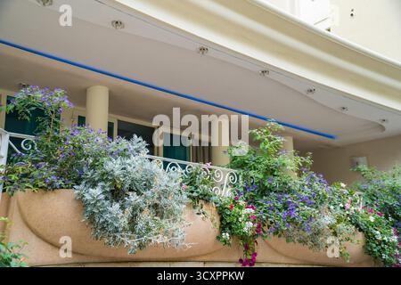 Il balcone e' pieno di vegetazione lussureggiante e luminosi fiori italiani. Foto Stock