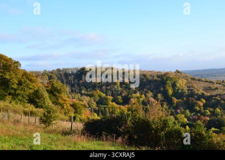 Una valle ad est del villaggio di Shoreham, Kent, chiamata Magpie Bottom e Fackenden Down, vicino a Darent Valley, all'inizio dell'autunno. Paese escursionistico vicino a Londra, Regno Unito Foto Stock