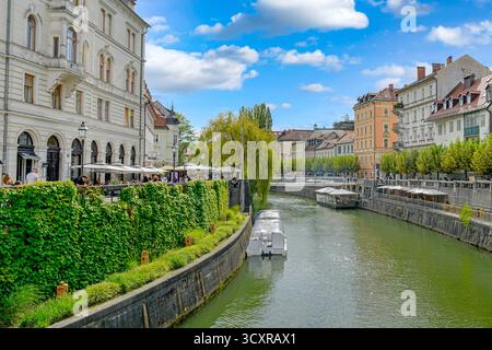 Barche turistiche sul fiume Ljubljanica nel centro storico di Lubiana, Slovenia Foto Stock