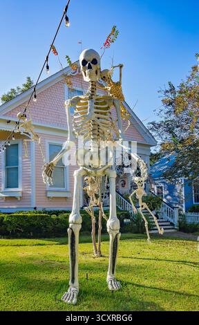 Mobile, Alabama, USA - 25 ottobre 2024: Uno scheletro gigante è il fulcro di una famiglia di scheletri che decorano il prato di una casa a Mobile, Alabama. Foto Stock