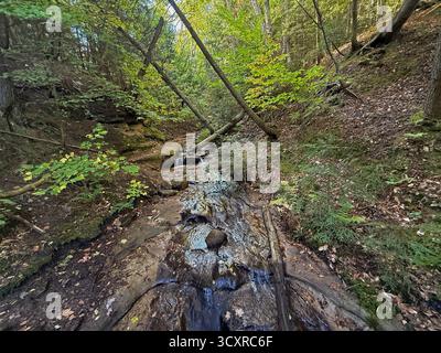 Wagner Creek scorre attraverso una foresta, in autunno, a Munising, Michigan, Stati Uniti Foto Stock
