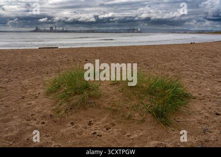 Erba selvatica sulla spiaggia di Coatham Sands, Redcar, con le strutture industriali delle ex acciaierie SSI all'orizzonte sotto un cielo spettacolare Foto Stock