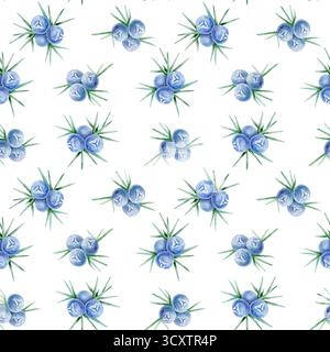 Le bacche di ginepro blu con sottili aghi verdi si ripetono su questo motivo senza cuciture della clipart di acquerello disegnato a mano. Ideale per imballaggi ecologici, carta da imballaggio, pagine di album e stampa su tessuti. Foto Stock