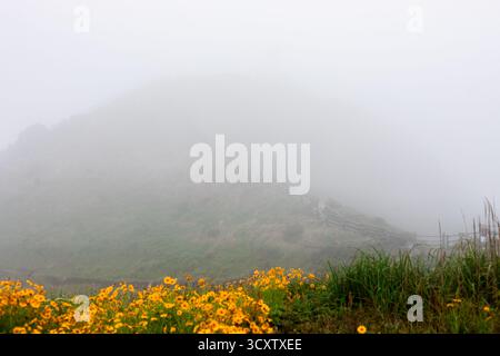 Sentiero costiero di Cape Seopjikoji, Isola di Jeju Foto Stock
