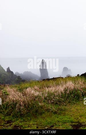 Sentiero costiero di Cape Seopjikoji, Isola di Jeju Foto Stock