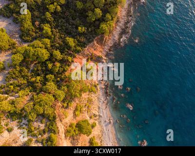 Volo dall'alto verso il basso della fitta foresta costiera che incontra la costa turchese Foto Stock