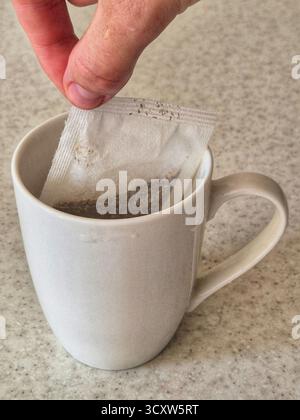 tè alle erbe confezionato estratto in una tazza Foto Stock