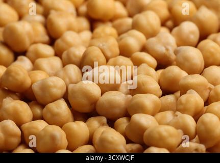 Cucinato imbevuto di ceci fagioli legume (Cicer arietinum) close up del modello di sfondo, ad alto angolo di visione Foto Stock